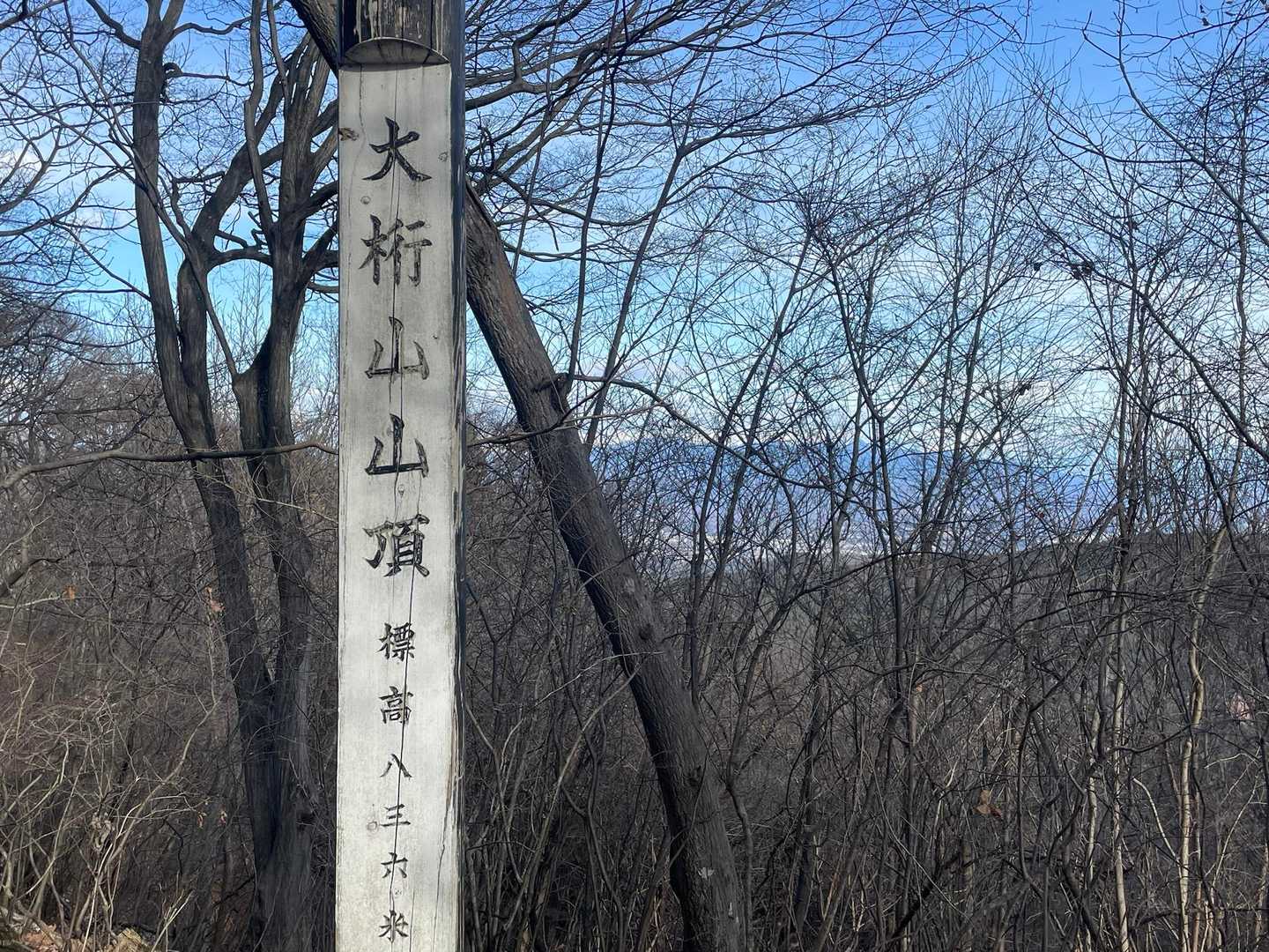 大桁山到着⸜(*ˊᗜˋ*)⸝
眺望なし…