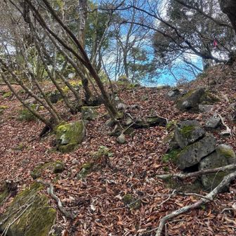 ズンズン進むも