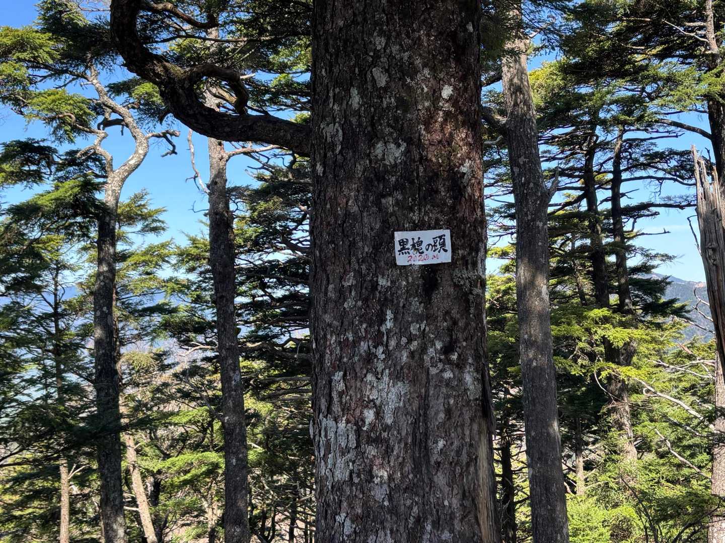 笠取山登山口-笠取山-黒槐ノ頭-唐松尾山-三ノ瀬登山口 周回コースの写真