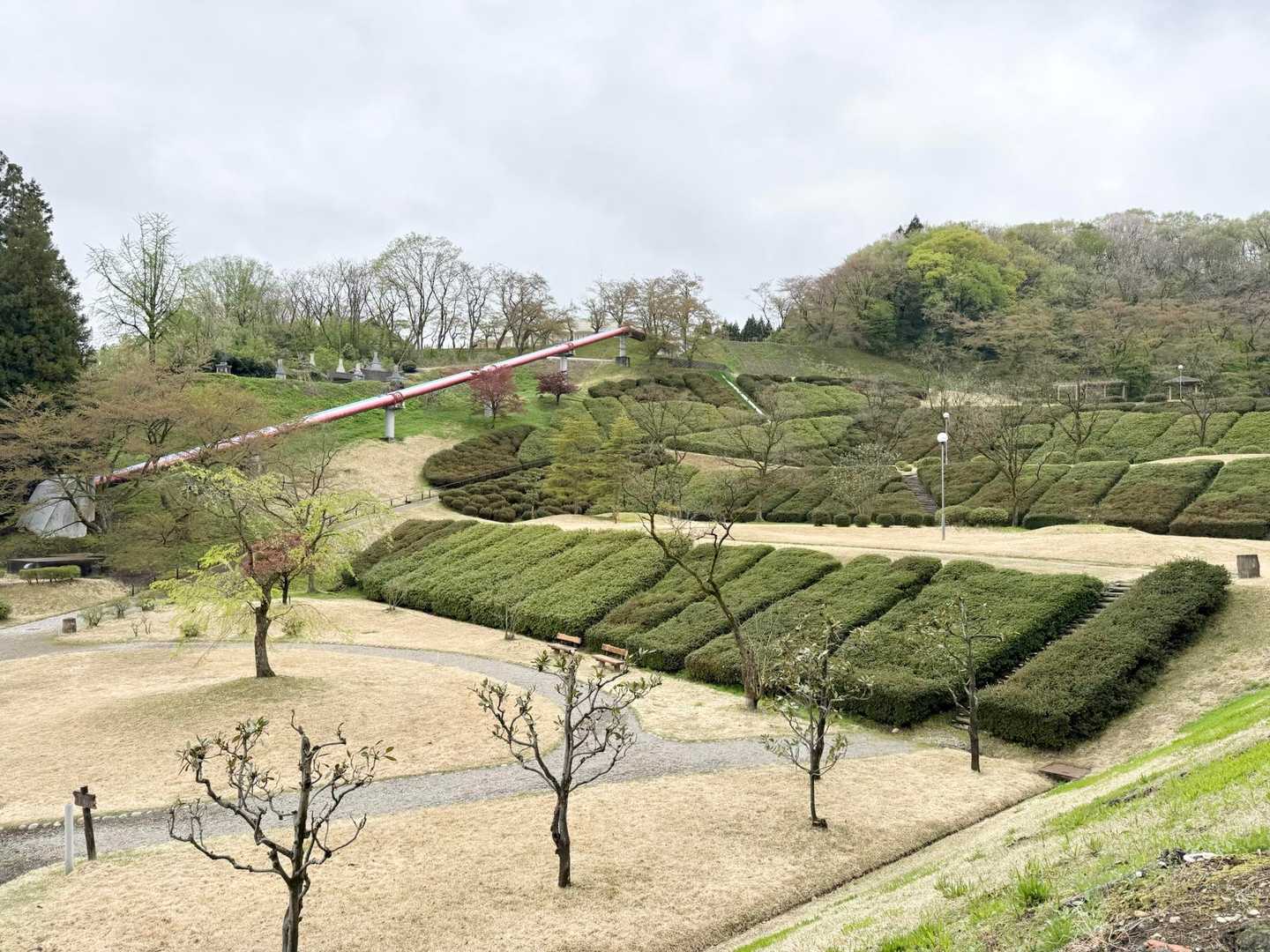 水道つつじ公園START⭐︎