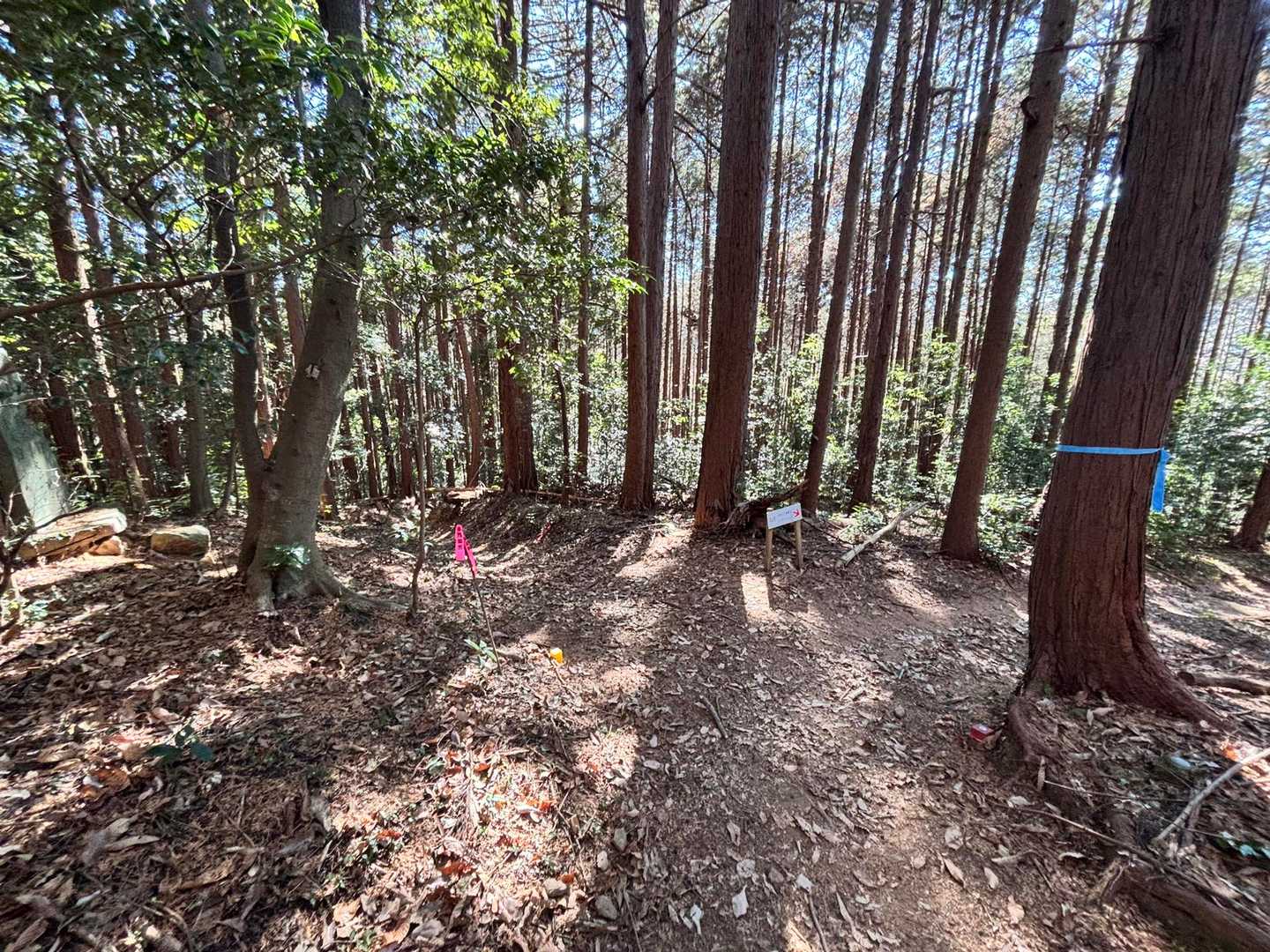 奥沢神社 奥宮-臼入山-烏森山-官ノ倉山-官ノ倉山登山口- 周回コースの写真
