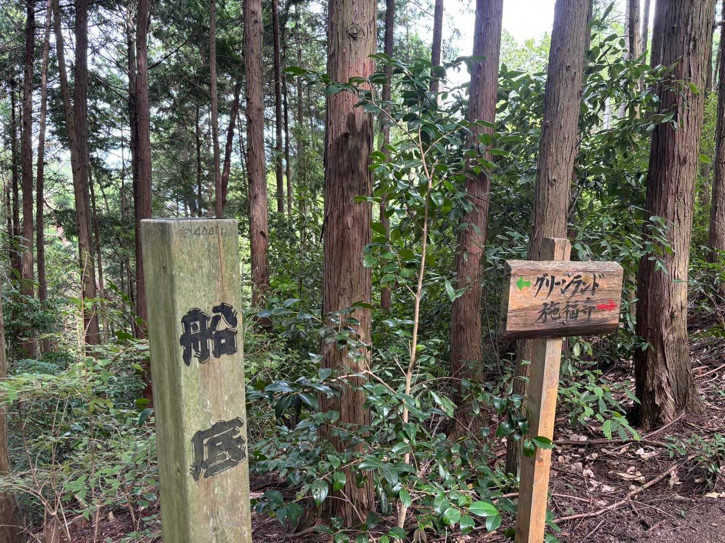 施福寺-槇尾山バス停 縦走コースの写真