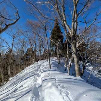 振り向いてスノーシュー跡　尾根歩き
凄い風🌬️で倒れそう