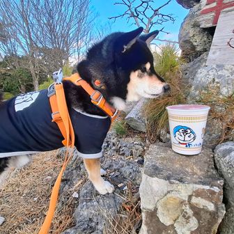 
側面にドラえもんを描きました🎵
ドラミちゃん下手すぎて 隠してます😅

🐶そろそろ３分だぜ😄