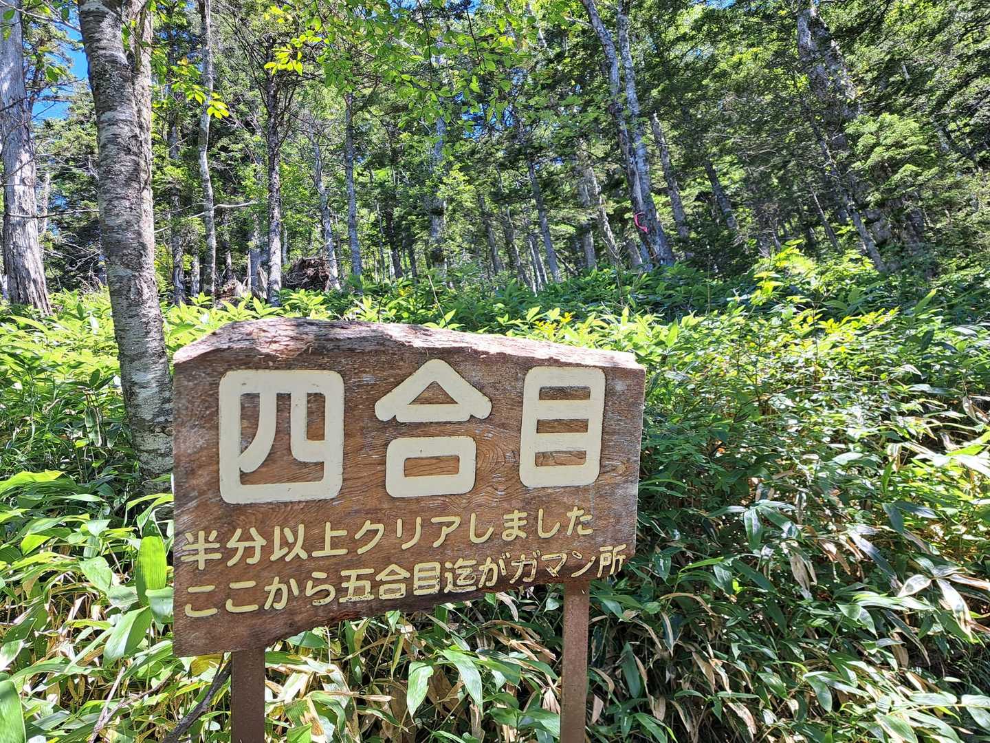 ここまで2時間ほど