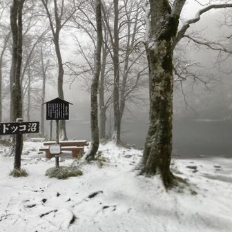 帰りに見た『ドッコ沼』、雪景色になってる！