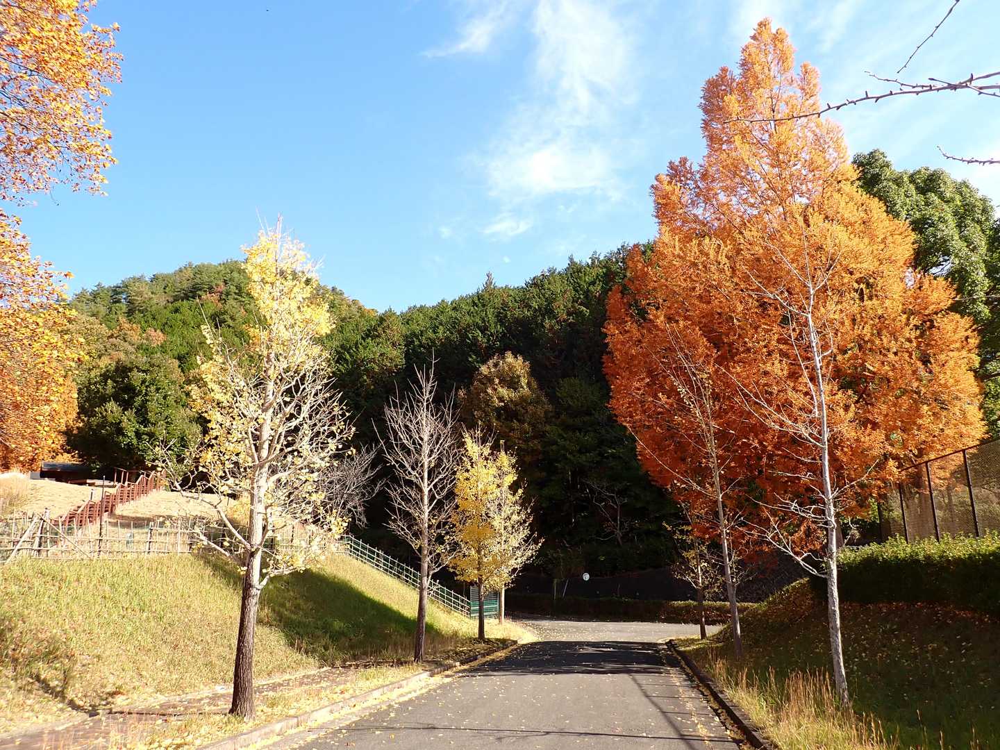 登山口に向けスタート