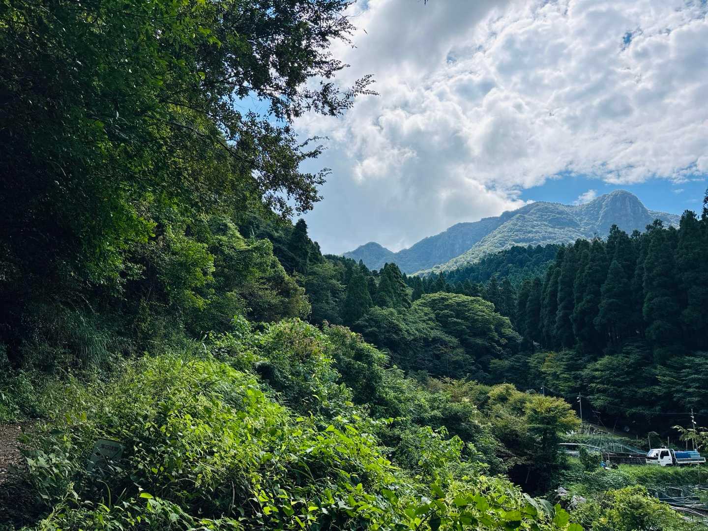 目指す山かな