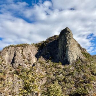 亀さん🐢の鼻の上に登って来たよ〜🤗