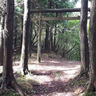 鳥居が見えてきました。前神にお参りして進みます。