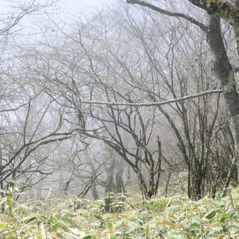 小地蔵岳辺りは☁と🌞のせめぎ合いで気温の変化がすごかったです
