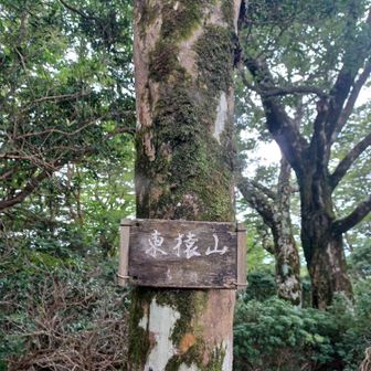 「東猿山」到着 …1,127m
山名の下に   
「らしい」の文字が微かに見えるけど('_'?)