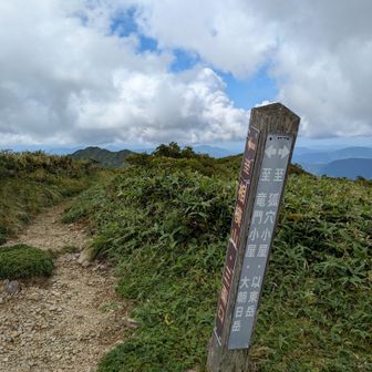 北寒江山山頂（相模山との分岐）。
狐穴小屋までもうすぐです