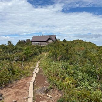 ウズ・トゥナ)あれなんだろ…？
ティガレックス)神社かな？