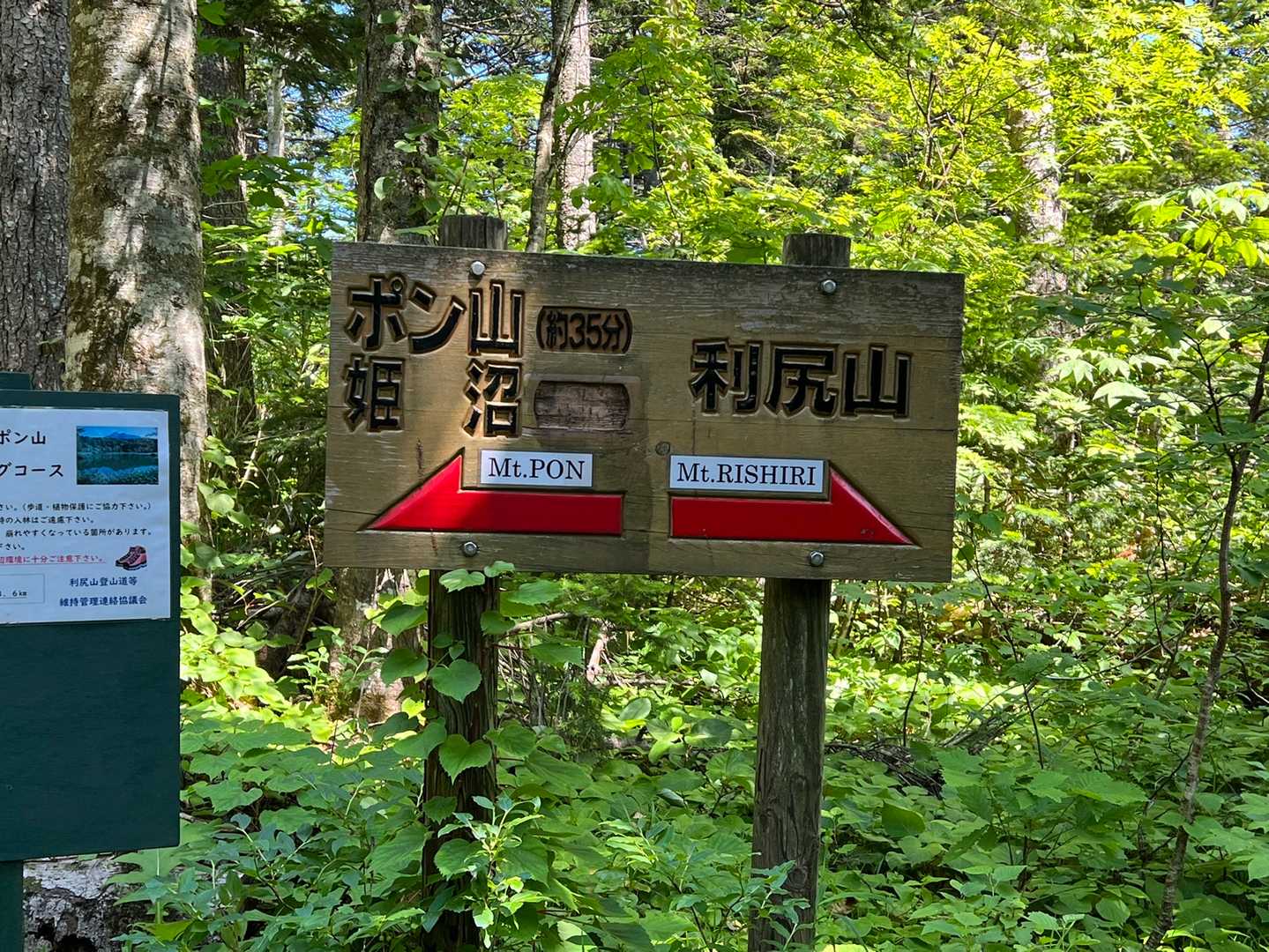 左へ
右は明日だ❣️