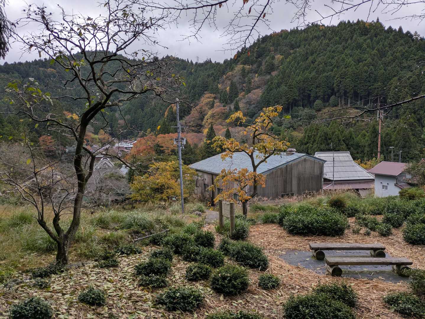政所の集落に下山しました