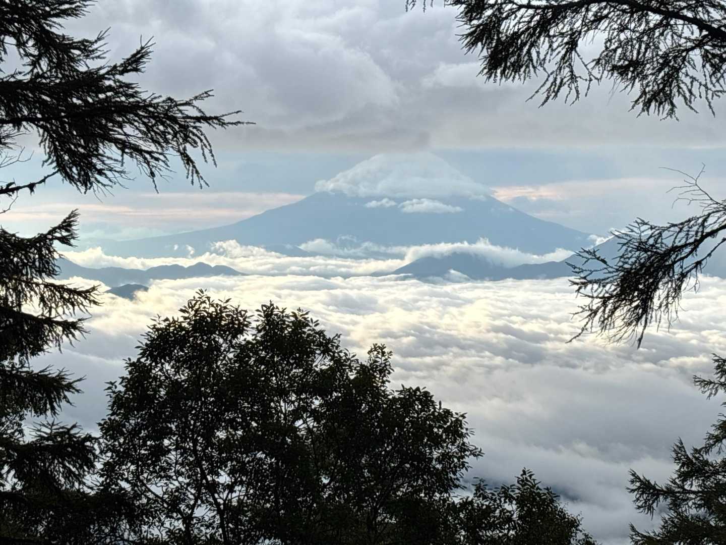 池の茶屋林道登山口-櫛形山 往復コースの写真