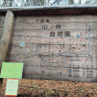 角田山の帰り長い道中の途中塩尻で下車。山の神自然園に立ち寄ってくれました。
ここは現在水芭蕉が満開です。
地図を確認します。