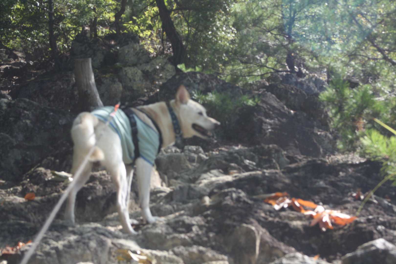日陰は気持ちいい
～