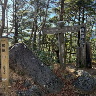 なんだこの登りは…