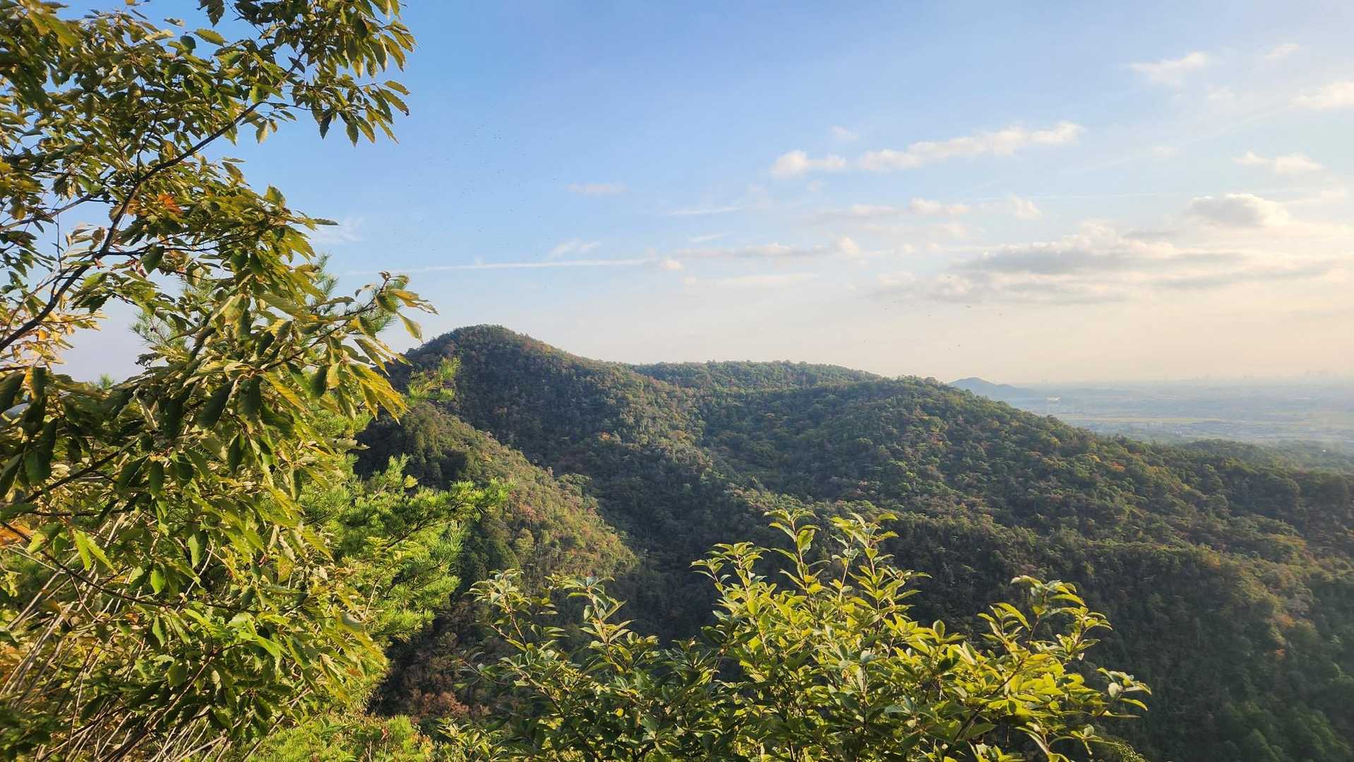継鹿尾山