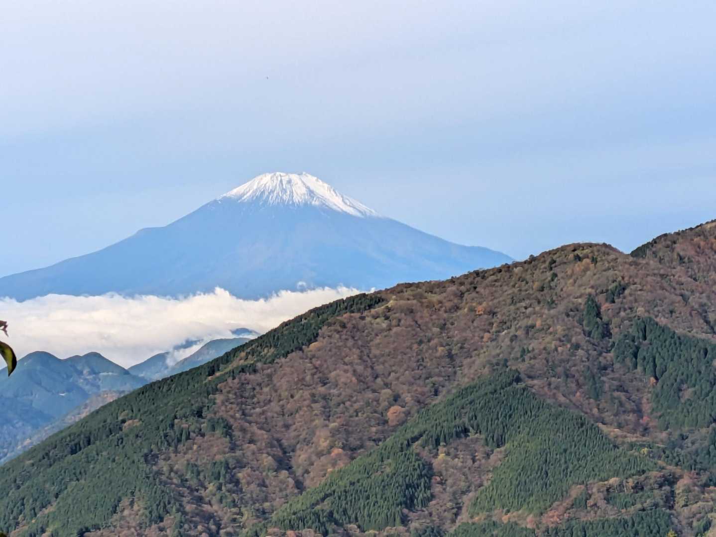 久しぶりに富士見台から見えた🥹🗻
