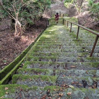 この石段　キツイ