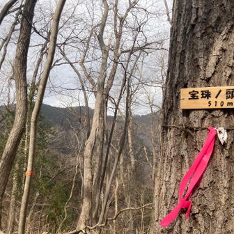 宝珠ノ頭到着
遠方左側に景信山があります