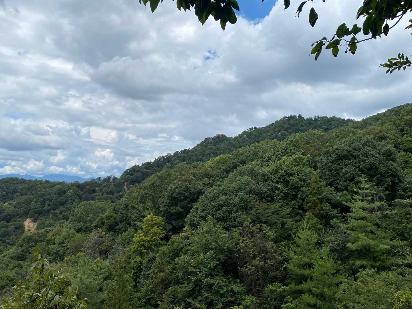 水分神社登山口-呉娑々宇山 往復コースの写真
