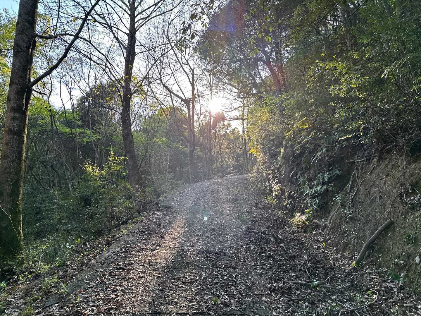 眩しいけど、写真じゃ伝わりにくい💦