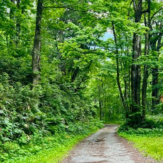 黙々と下山という修行に耐え、無事に登山口へ
