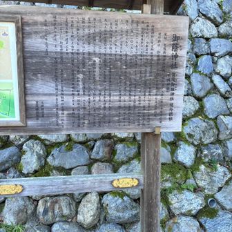 御蔭神社⛩️のセンブリ名
悪いけど今のところあんまり興味がない