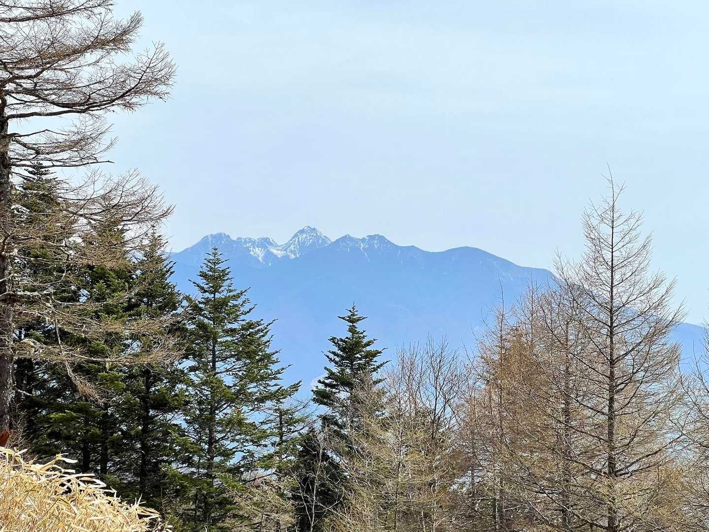 雨乞岳（ヴィレッジ白州登山口）の写真