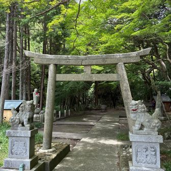 ありがとうございました。お賽銭少しですが入れさせていただきました。