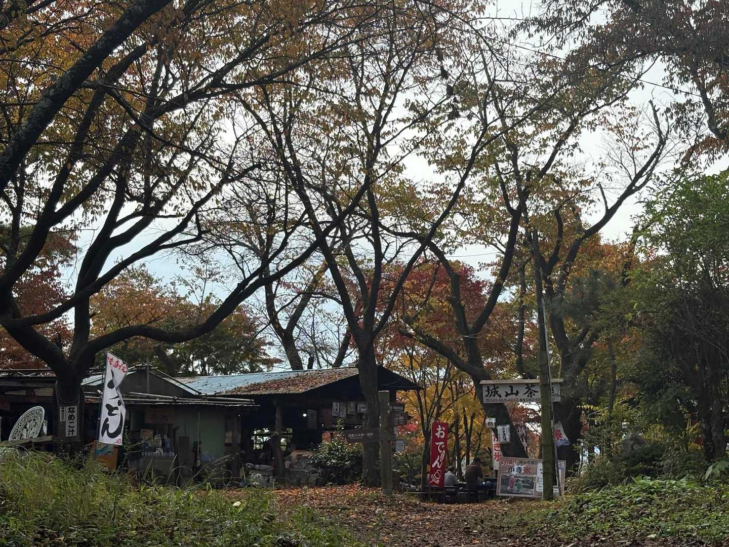 小仏バス停-景信山登山口-ヤゴ沢作業路登山口-小仏峠-城山 縦走コースの写真