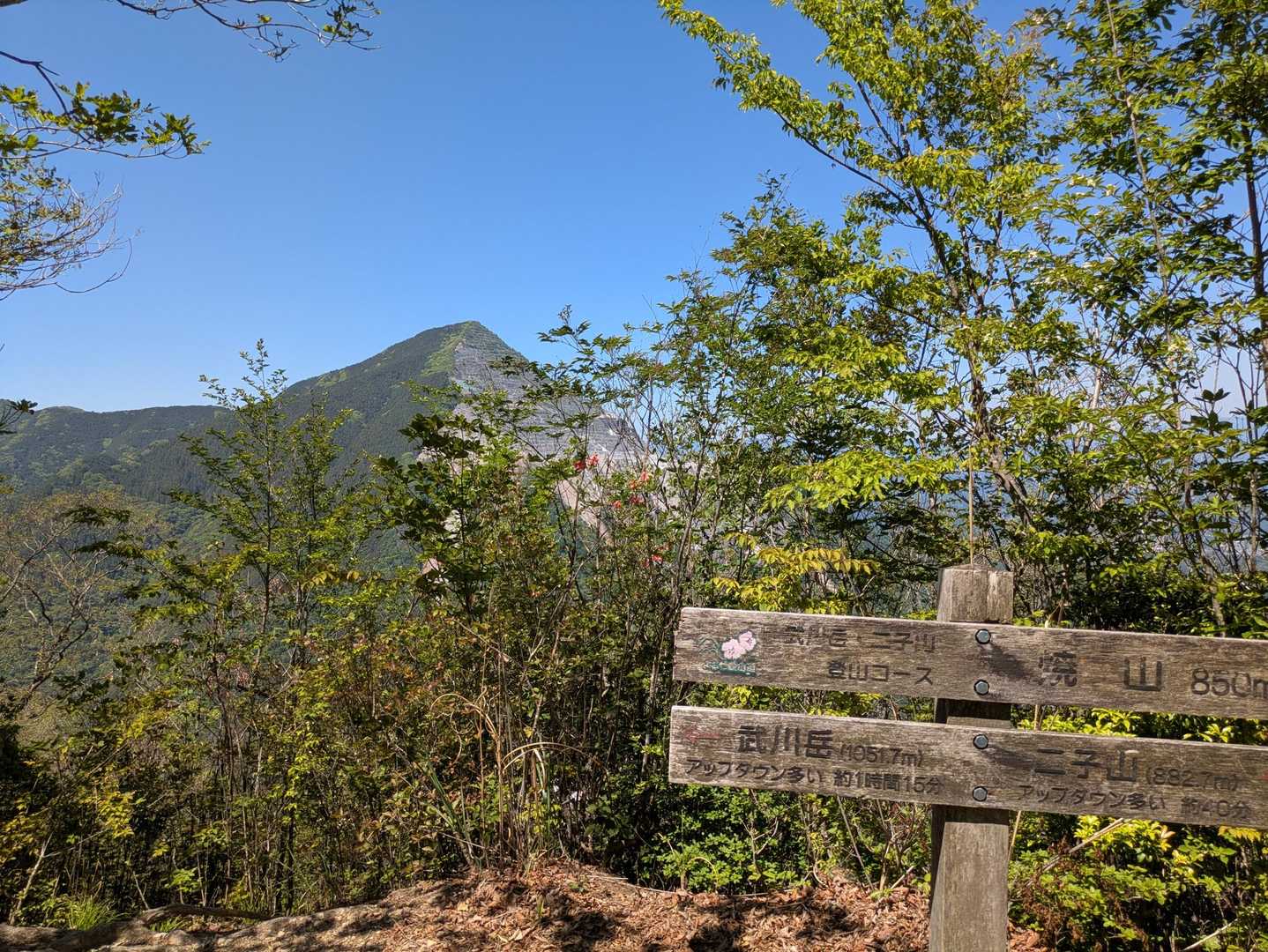 芦ヶ久保駅-二子山-焼山-蔦岩山-武川岳-伊豆ヶ岳登山口- 縦走コースの写真