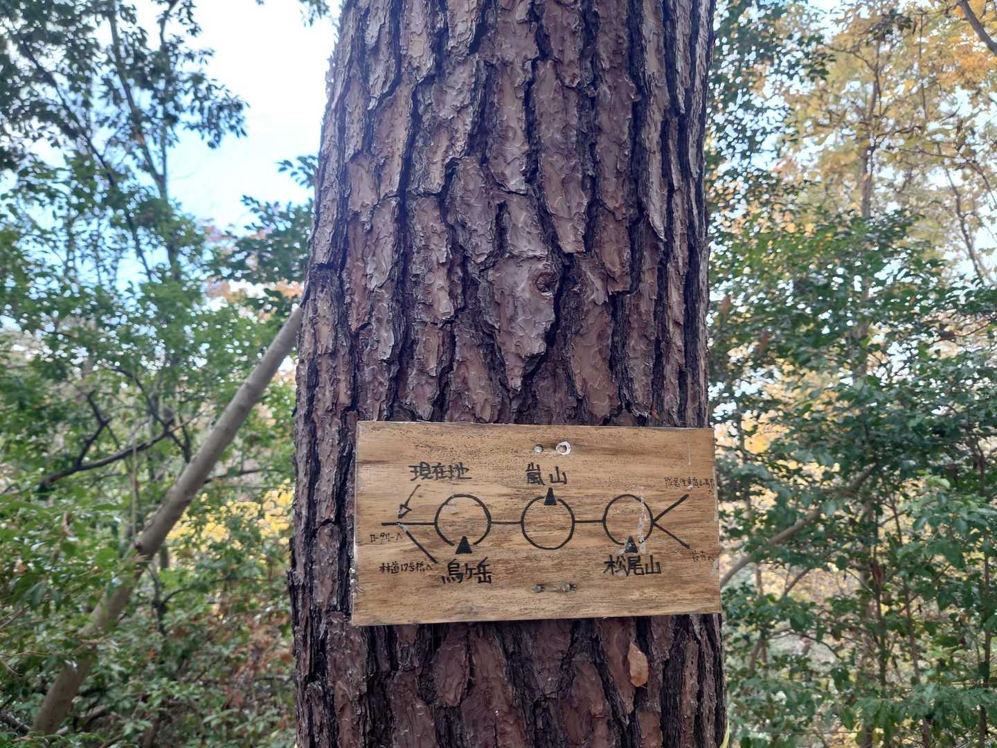 この行き方で山頂にいけます。