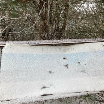 展望案内は真っ白&穴あき😨