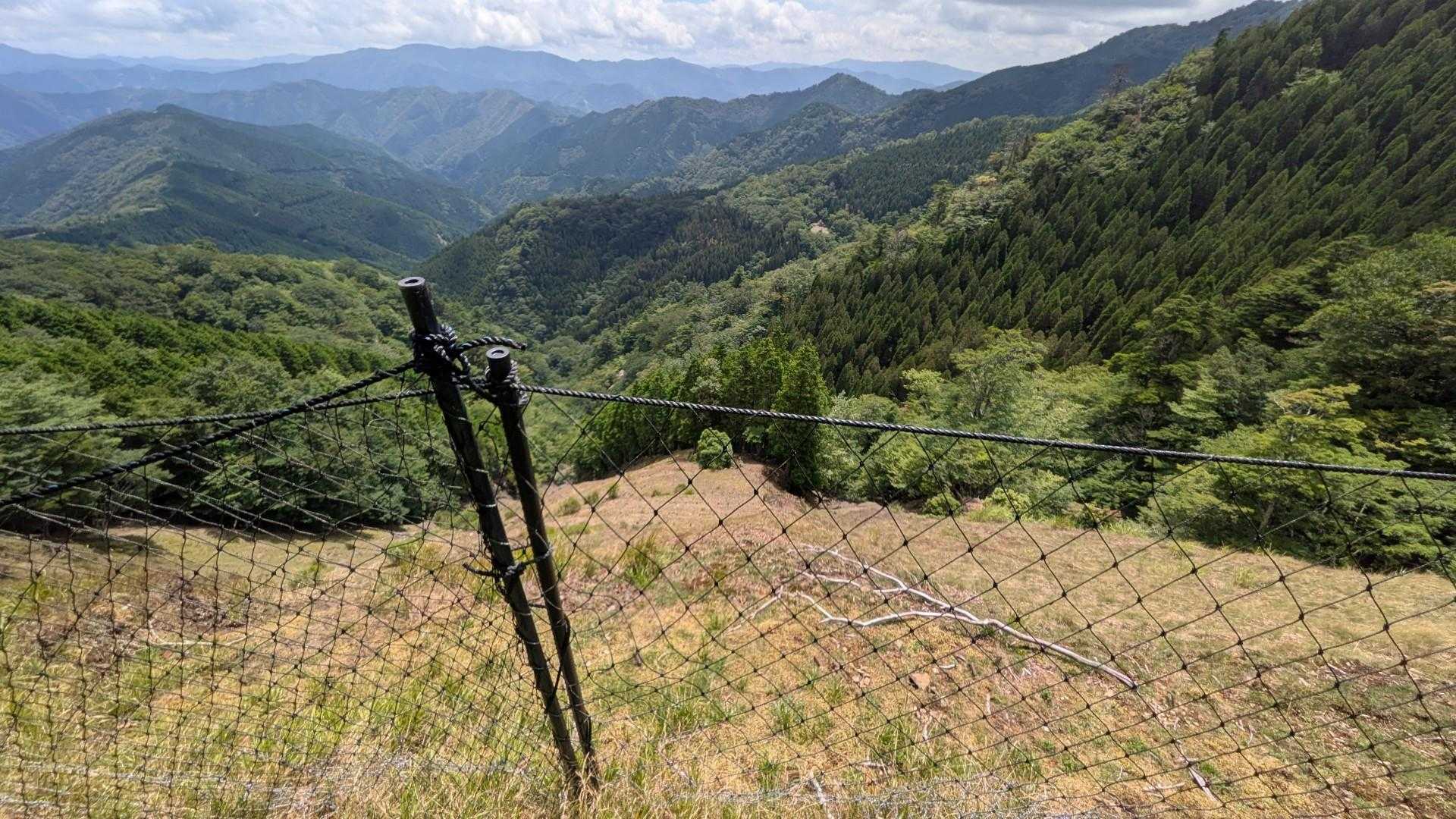 ひらけてるけど、さらに先には行けないね。登山道にもどろ。