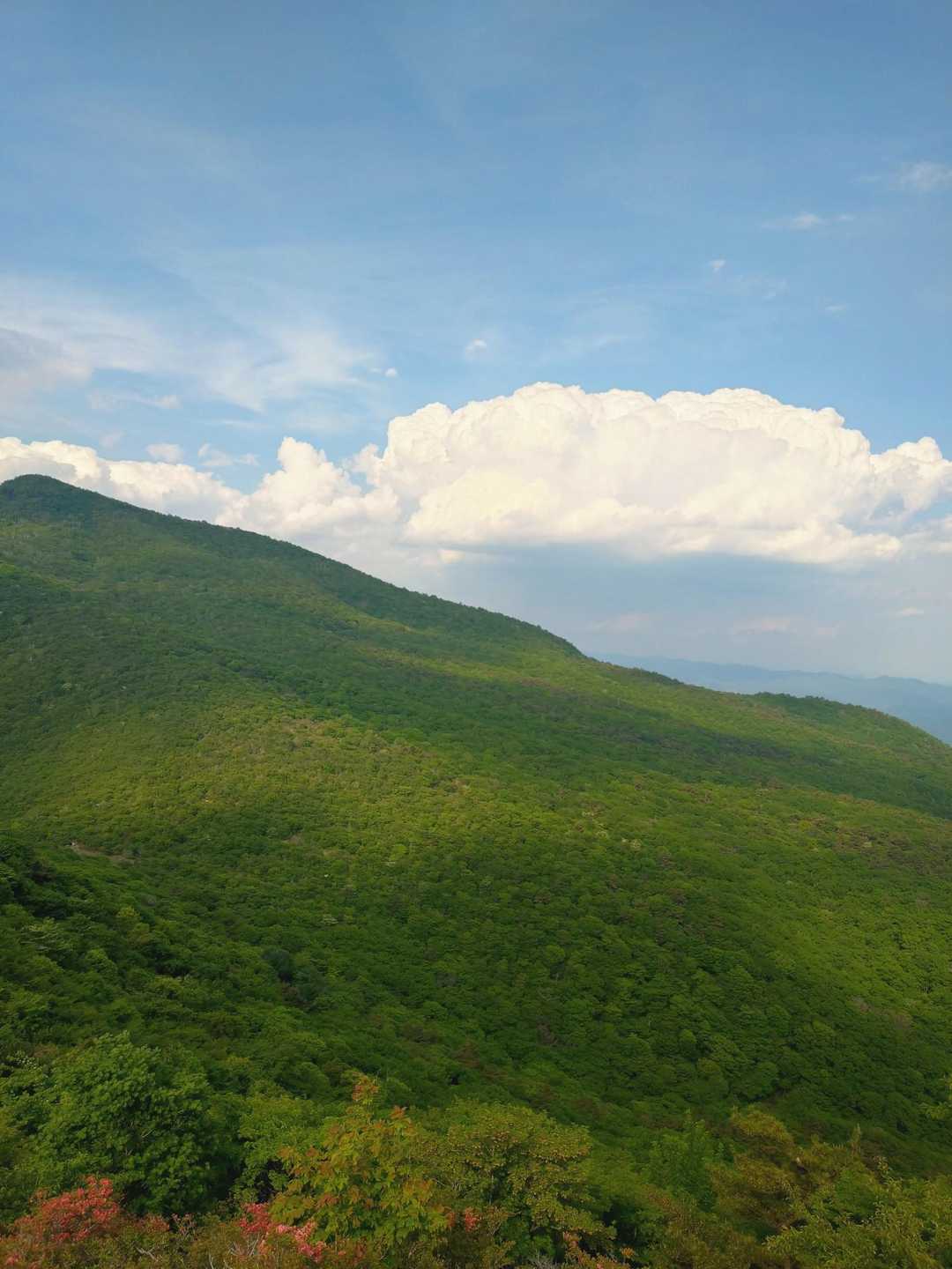 「裾野は長し赤城山」
毎度唱える県民馴染みの
このフレーズ🤭
新緑美しい裾野です