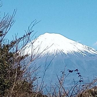 富士山見えました。