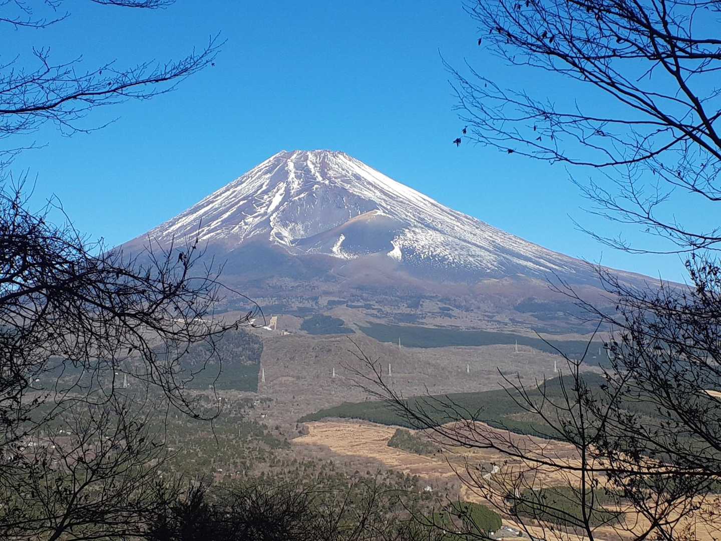 ベンチかろ、富士山が真正面に❗