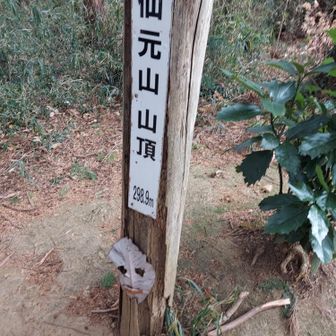 看板と落葉のマスク