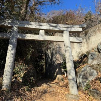 楽しくて一緒に神社まで降りて来ちゃった😂
