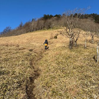 さて、頑張って登りましょ💪