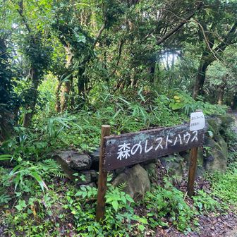 縦走路でるにも遠回りせなあかんのでレストハウス経由