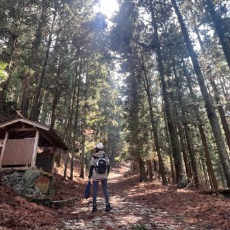 ここからガラッと雰囲気が変わる