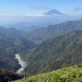 玄倉川と富士山
