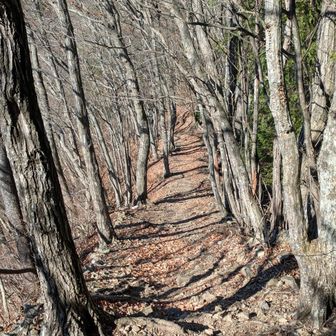尾根道の縦走は気持ちイイ