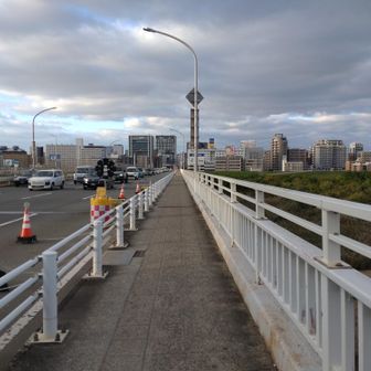 大阪市 ようやく人も少なくなり淀川からジョグしますが、街に入ると走れないところが多いです。11/5の久宝寺緑地36kmラン途中で足首を痛めたので御堂筋はウォーク中心ですが、走っていると徐々に足首の痛みに慣れてくるんです